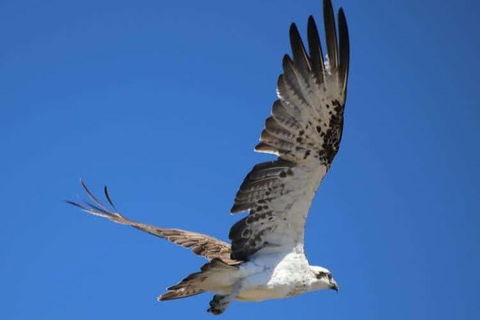 Romance Aircraft Flight + Scenic Tour + 3 Course Lunch + Beer Tasting + Hamper - Taree Accommodation 4