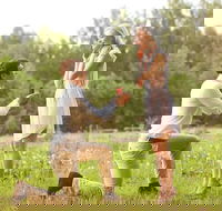 Romance Cruise  scenic Tour  beer tasting  3 course lunch  hamper - Taree Accommodation