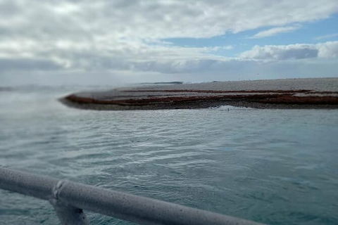 Abrolhos Islands Fishing Charter - Taree Accommodation 6