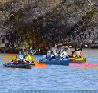 Private Guided River Kayak Tour - Taree Accommodation