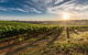 Perth To Margaret River Wine Tour - 2 Day Premium Boutique Wine Tour Experience - thumb 0