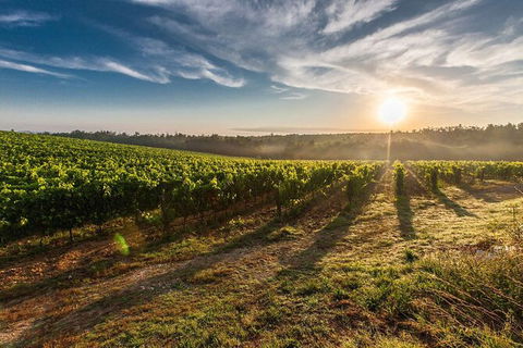 Perth To Margaret River Wine Tour - 2 Day Premium Boutique Wine Tour Experience - Taree Accommodation 0