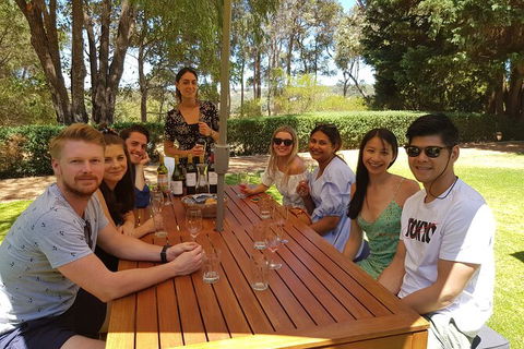 Full-Day Gourmet Wine Tour With Pick Up And Lunch - Taree Accommodation 5