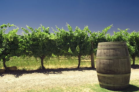 Pinnacles Desert Private Tour - Taree Accommodation 4