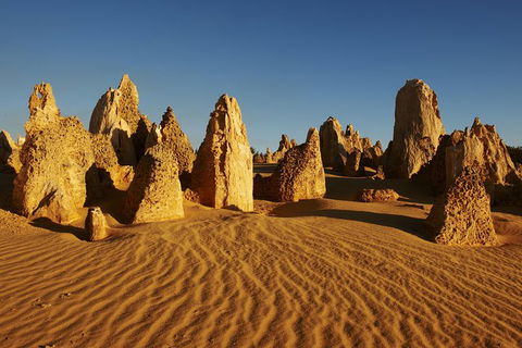 Pinnacles Desert Private Tour - Taree Accommodation 0