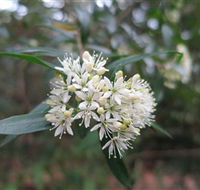 Booderee National Park