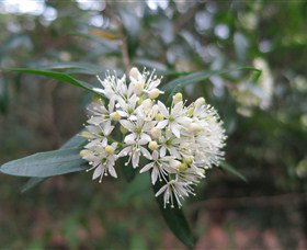 Booderee National Park - Taree Accommodation 0
