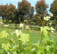 Barwon Ridge Wines - Taree Accommodation