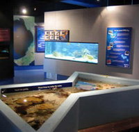 Marine and Freshwater Discovery Centre - Taree Accommodation
