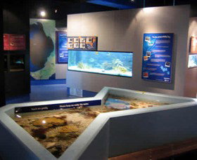 Marine And Freshwater Discovery Centre - Taree Accommodation 0