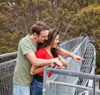 Valley of the Giants Tree Top Walk - Taree Accommodation
