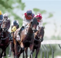 Colac Turf Club - Taree Accommodation
