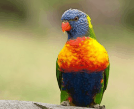 Booderee National Park - Taree Accommodation 1