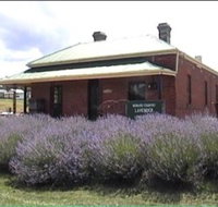 Lavender House in Railway Park - Taree Accommodation