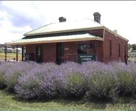 Lavender House In Railway Park - Taree Accommodation 0