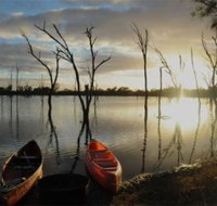 Boshack Outback - Taree Accommodation