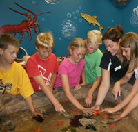 Naturaliste Marine Discovery Centre - Taree Accommodation