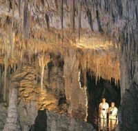 Mammoth Cave - Taree Accommodation