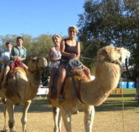 Calamunnda Camel Farm - Taree Accommodation
