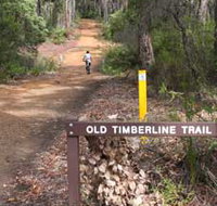 Old Timberline and Sidings Rail Trails - Taree Accommodation