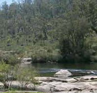 Wellington Discovery Forest - Taree Accommodation