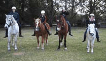 Valhalla Horse Riding - Taree Accommodation 1