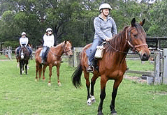 Valhalla Horse Riding - Taree Accommodation 2