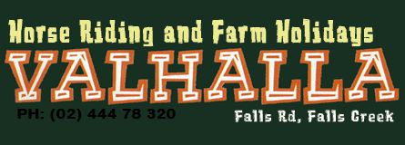 Valhalla Horse Riding - Taree Accommodation 4