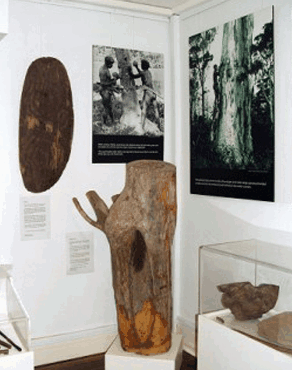 Historical Society Museum - Taree Accommodation 1