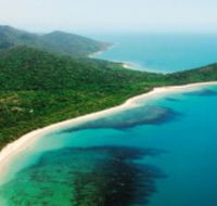 Jungle Tours and Trekking - Taree Accommodation