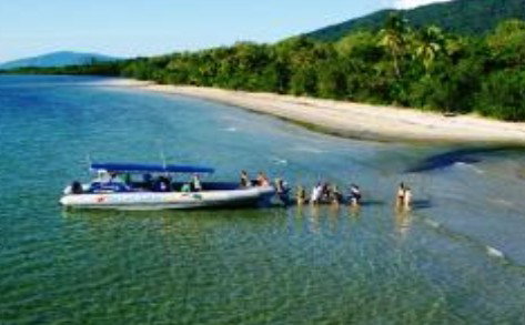 Cape Tribulation QLD Taree Accommodation