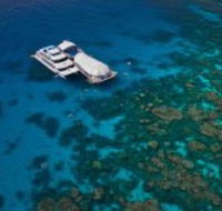 Great Adventures Reef and Green Island Cruises - Taree Accommodation