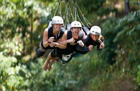 AJ Hackett Cairns - Taree Accommodation 4