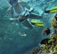 Calypso Reef Charters - Taree Accommodation