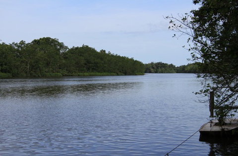 Daintree River Cruise Centre - Taree Accommodation 2