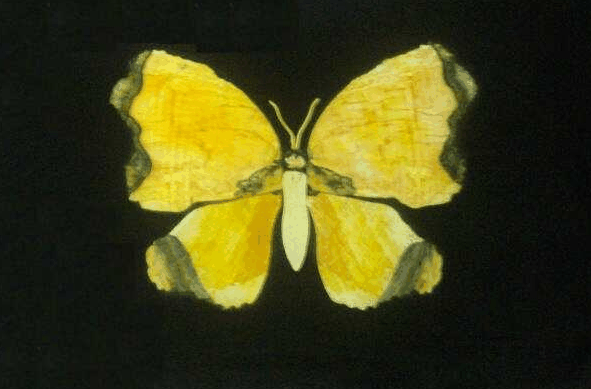 Home Hill QLD Taree Accommodation