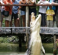 Hartley's Crocodile Adventures - Taree Accommodation