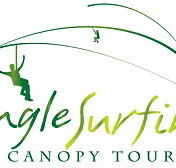 Jungle Surfing Canopy Tours and Jungle Adventures Nightwalks - Taree Accommodation