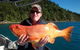 Gone Fishing By Coral Sea Fishing Charters Airlie Beach - thumb 0