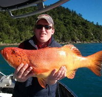 Gone Fishing by Coral Sea Fishing Charters Airlie Beach