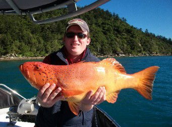 Gone Fishing By Coral Sea Fishing Charters Airlie Beach - Taree Accommodation 0