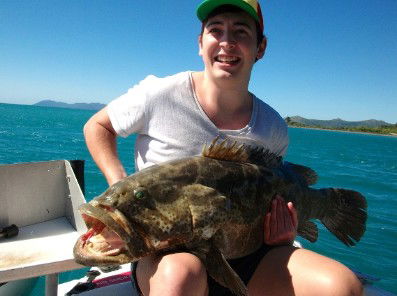 Gone Fishing By Coral Sea Fishing Charters Airlie Beach - Taree Accommodation 4