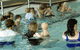 Aqualife Centre - thumb 1