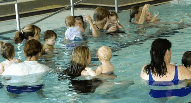 Aqualife Centre - Taree Accommodation 1