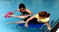 Aqualife Centre - Taree Accommodation 3