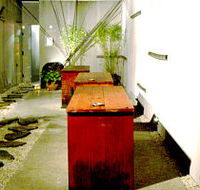 Koi - Taree Accommodation