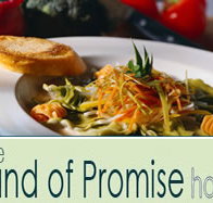 Land of Promise Hotel - Taree Accommodation