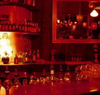 The Night Cat - Taree Accommodation