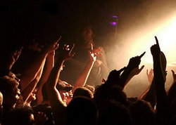 Ding Dong Lounge - Taree Accommodation 1