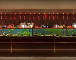 AB Hotel - Taree Accommodation 2